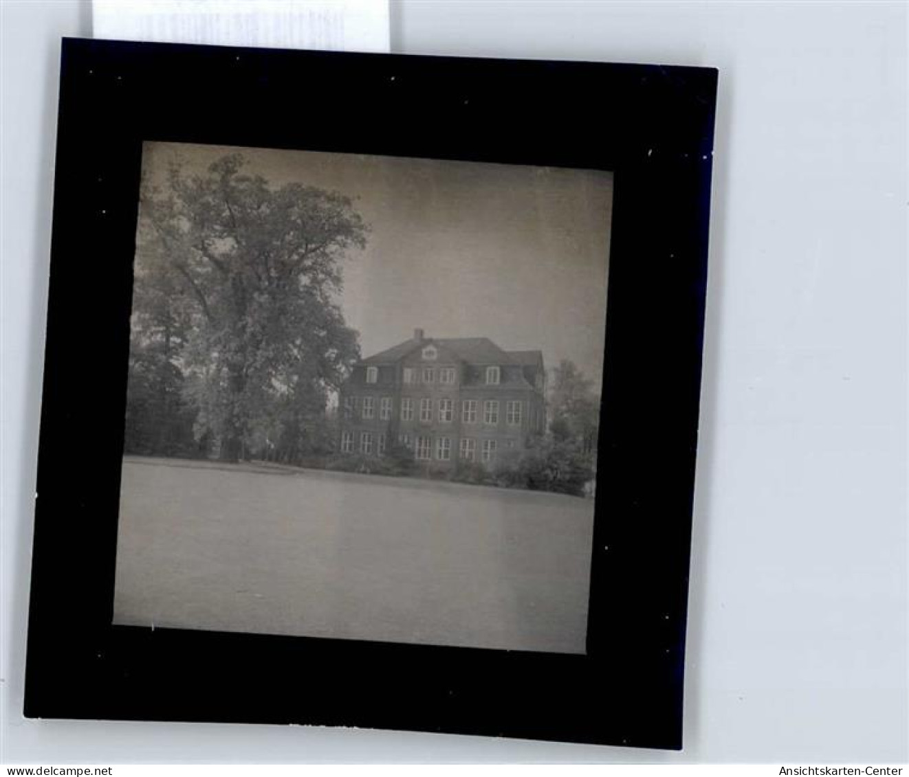 50961377 - Pinneberg