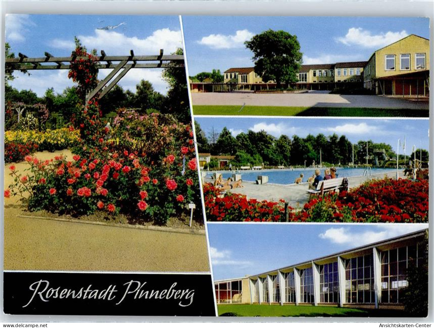 50961515 - Pinneberg