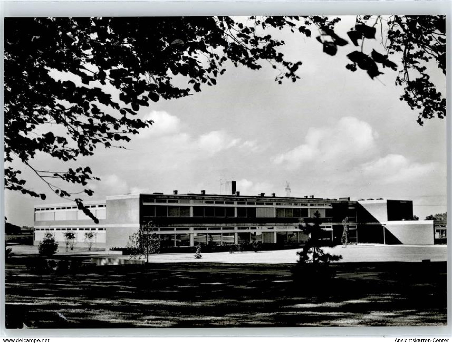 50962203 - Horst (Holstein)