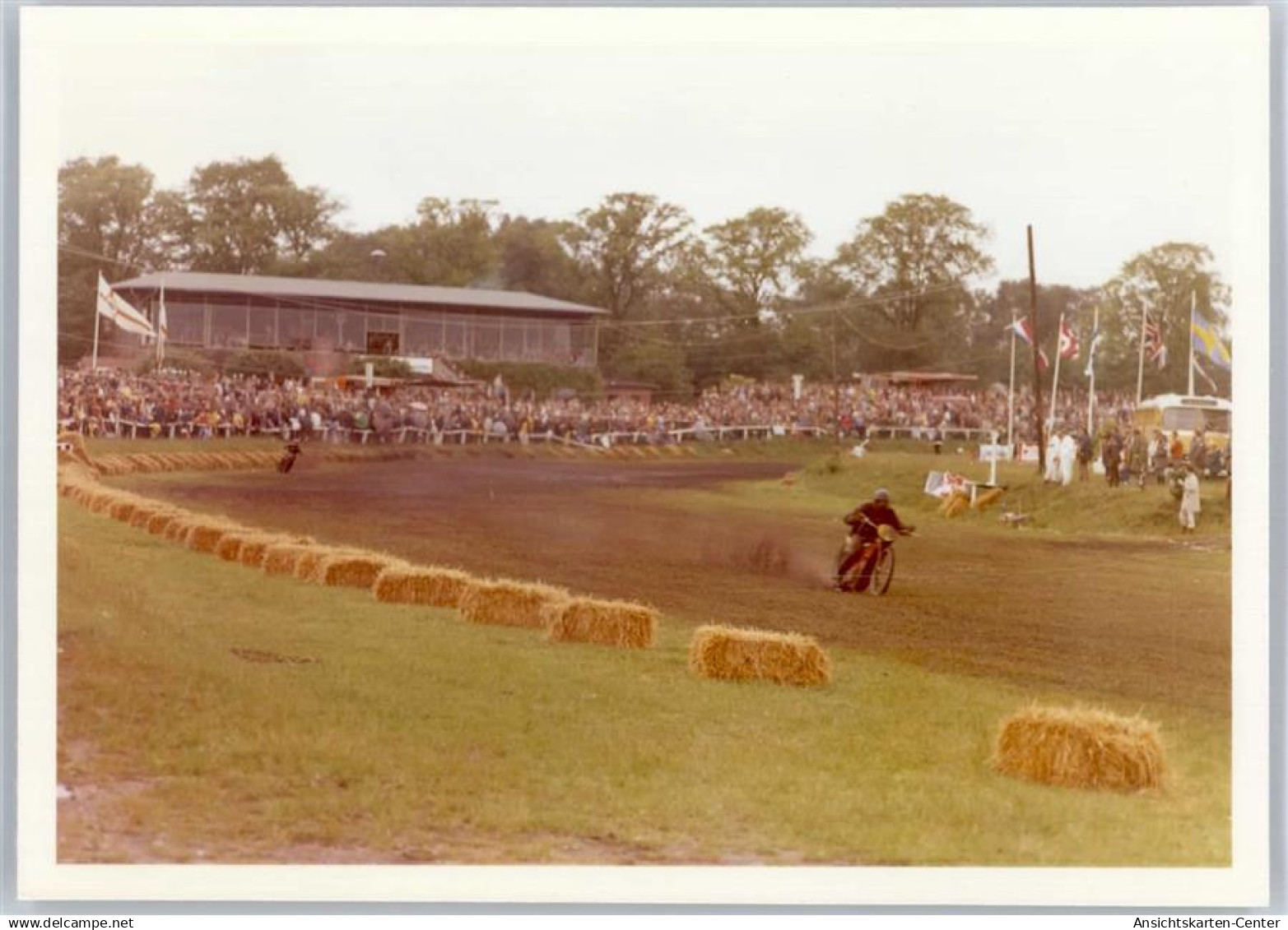 50963615 - Heide , Holst