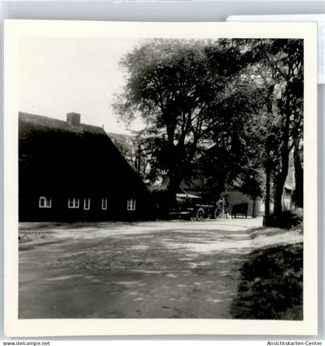 50966136 - Ratzeburg