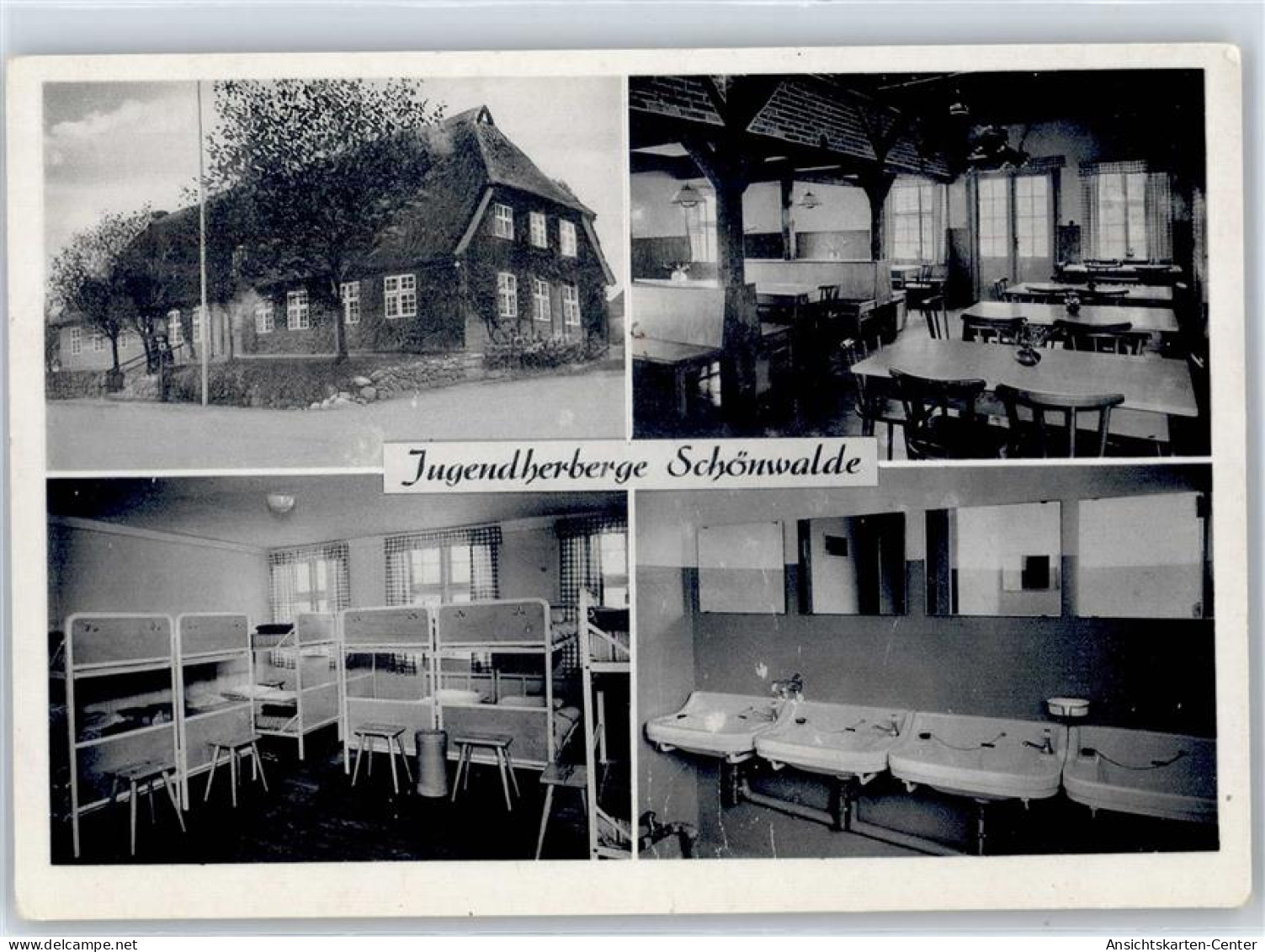 50966563 - Schoenwalde am Bungsberg