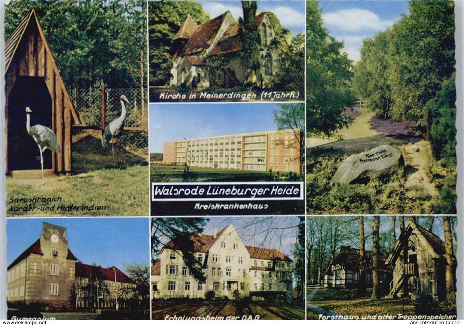 50969765 - Walsrode