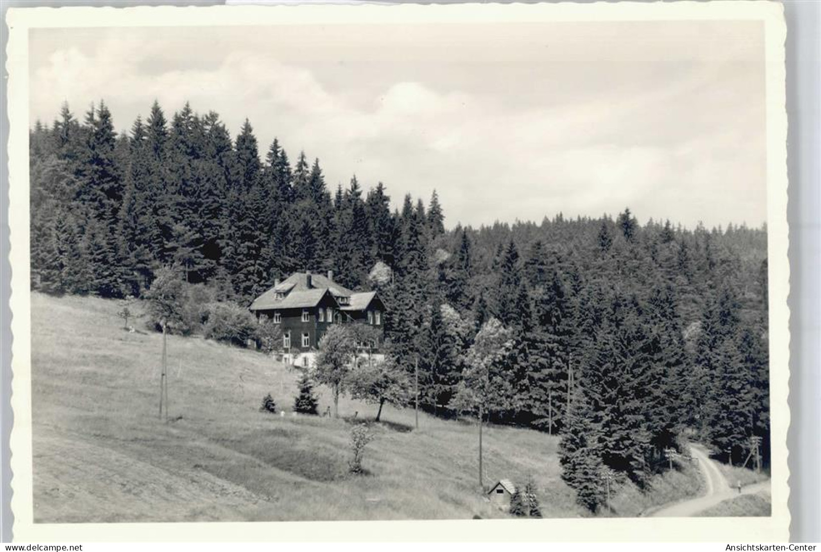 50971637 - Altenau , Harz