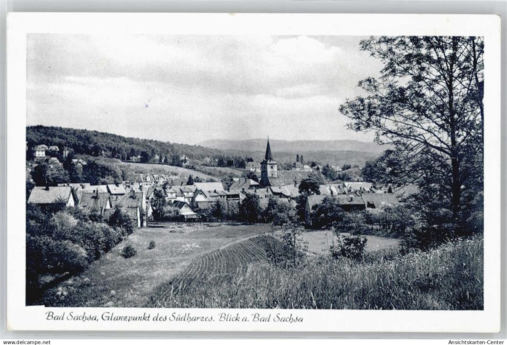 50971791 - Bad Sachsa