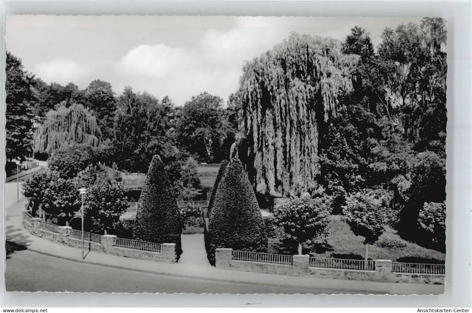 50971806 - Witzenhausen