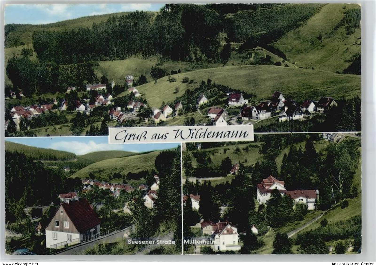 50971900 - Wildemann