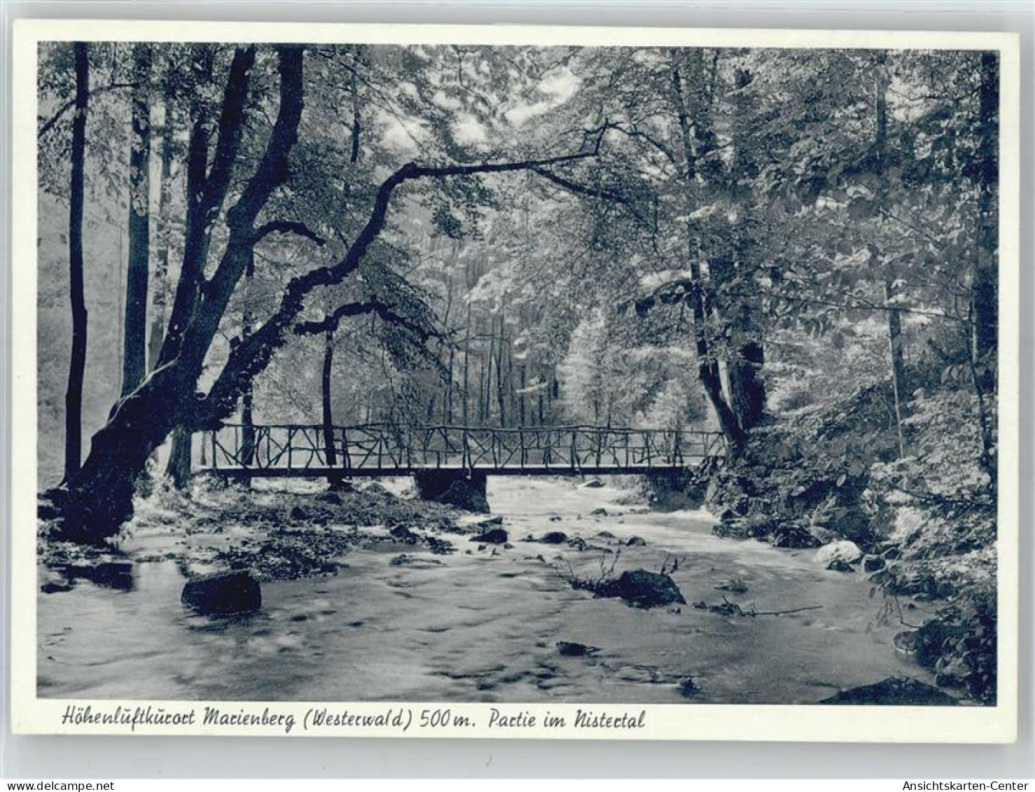 50973079 - Bad Marienberg (Westerwald)