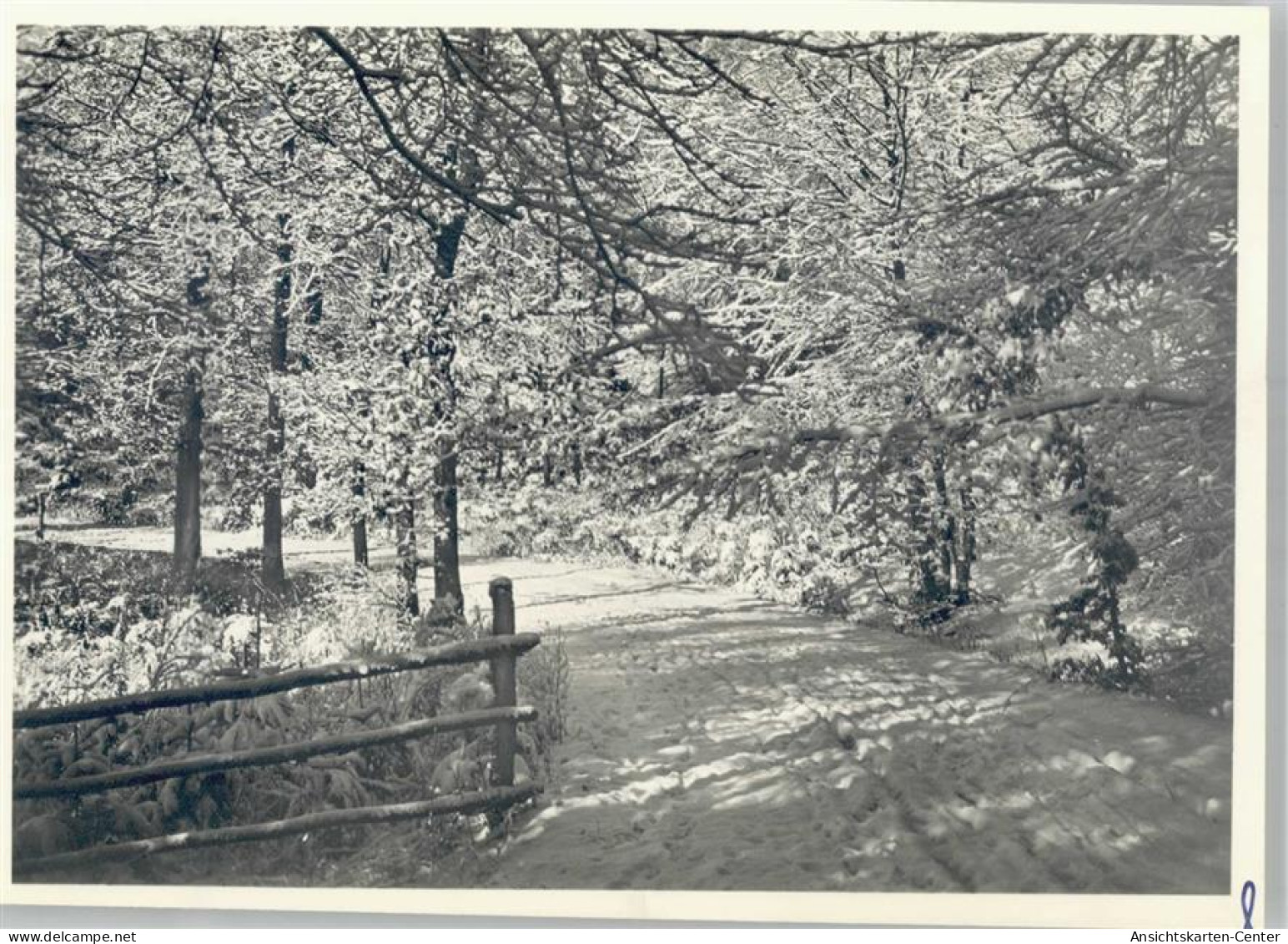 50974256 - Luebbecke , Westf