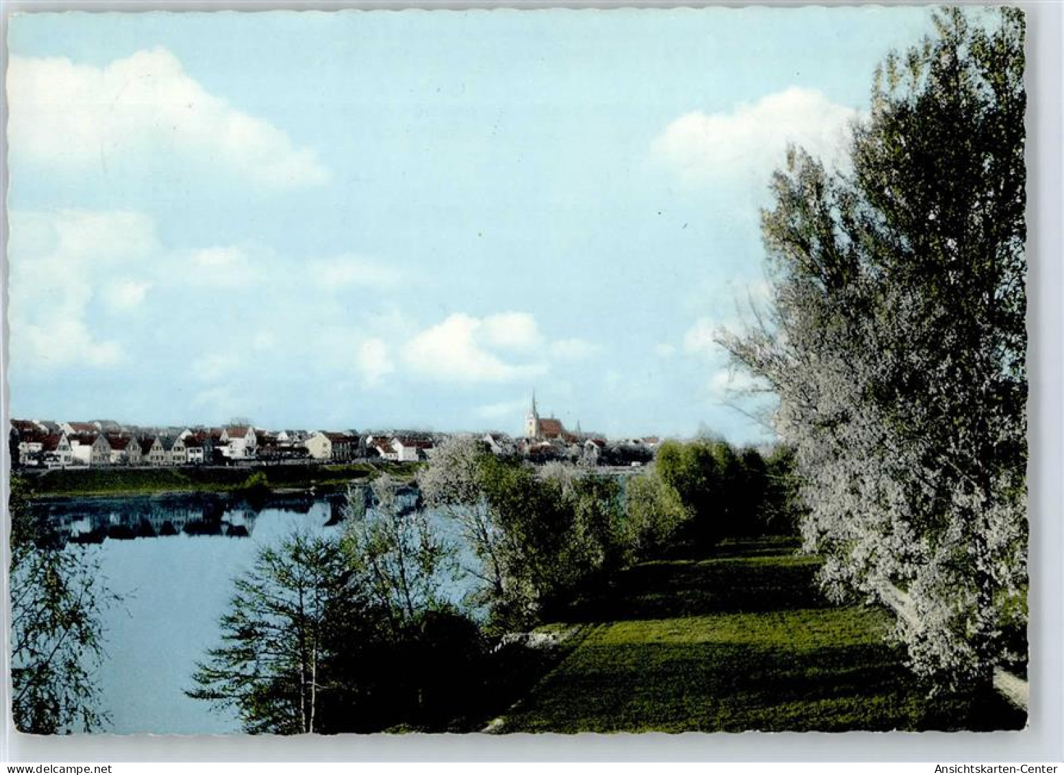 50974849 - Floersheim am Main