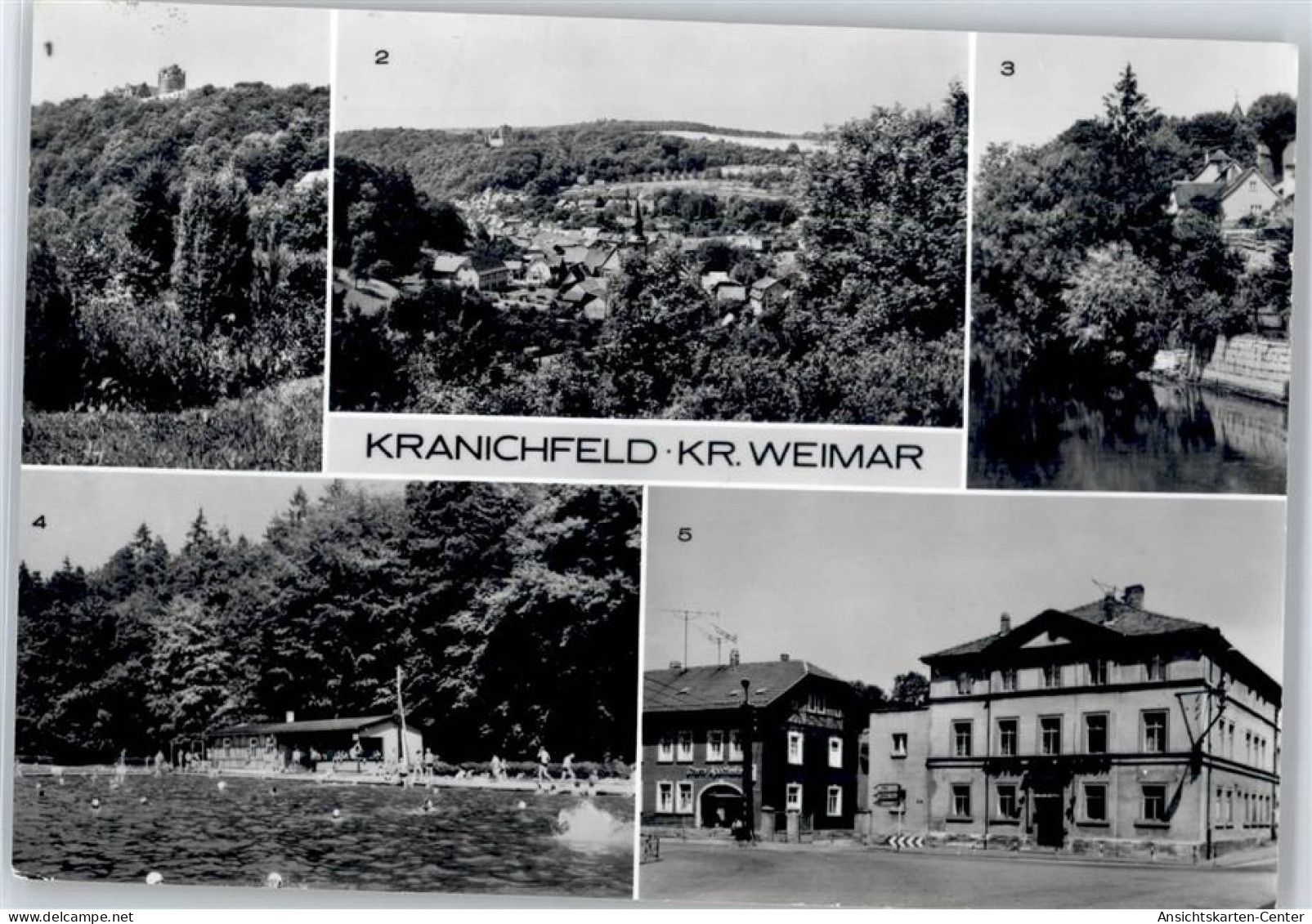 50983222 - Kranichfeld