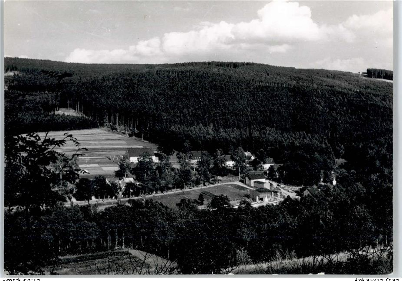 50984532 - Koenigswalde , Erzgeb