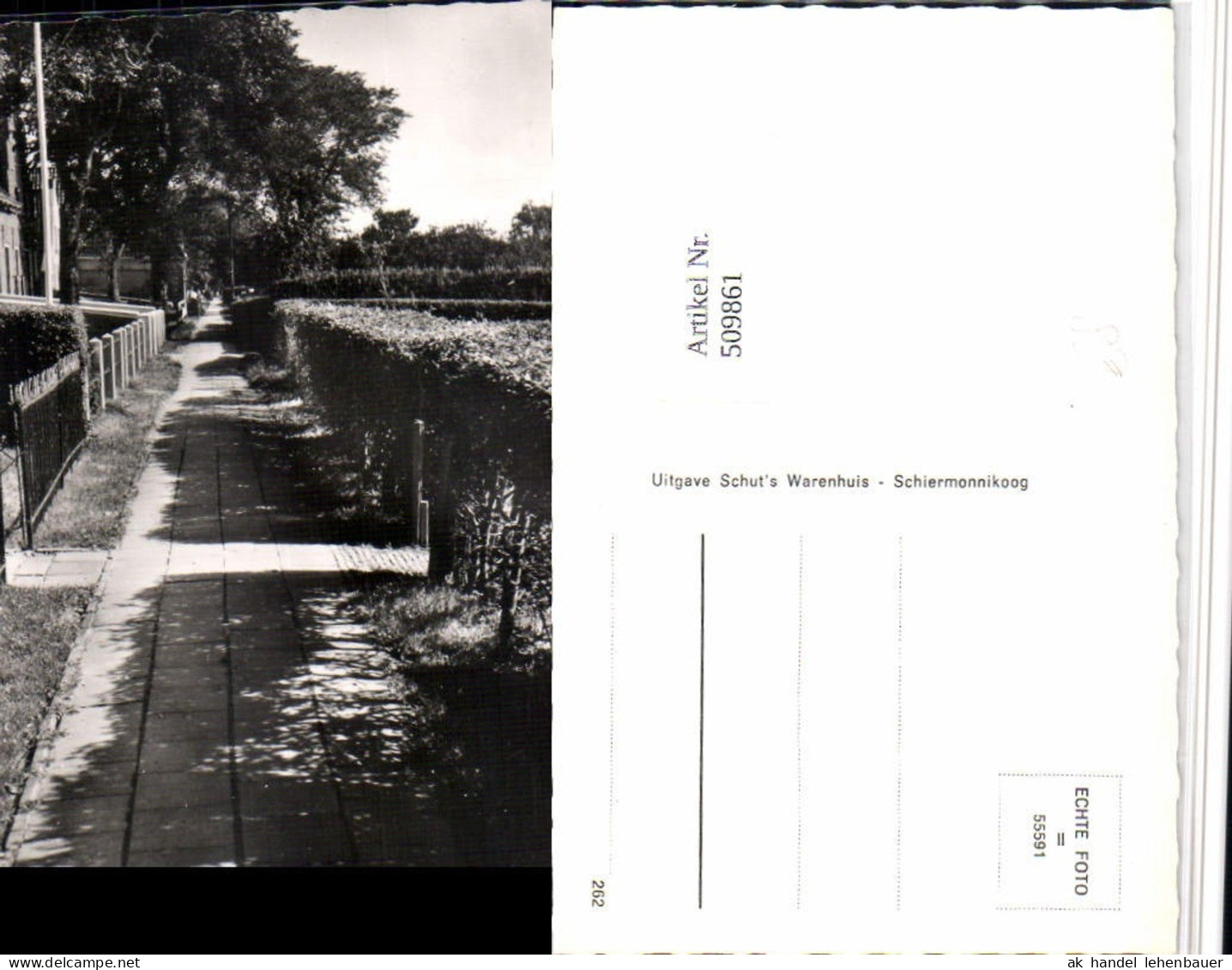 509861,Netherlands Schiermonnikoog Voorstreek Wegpartie