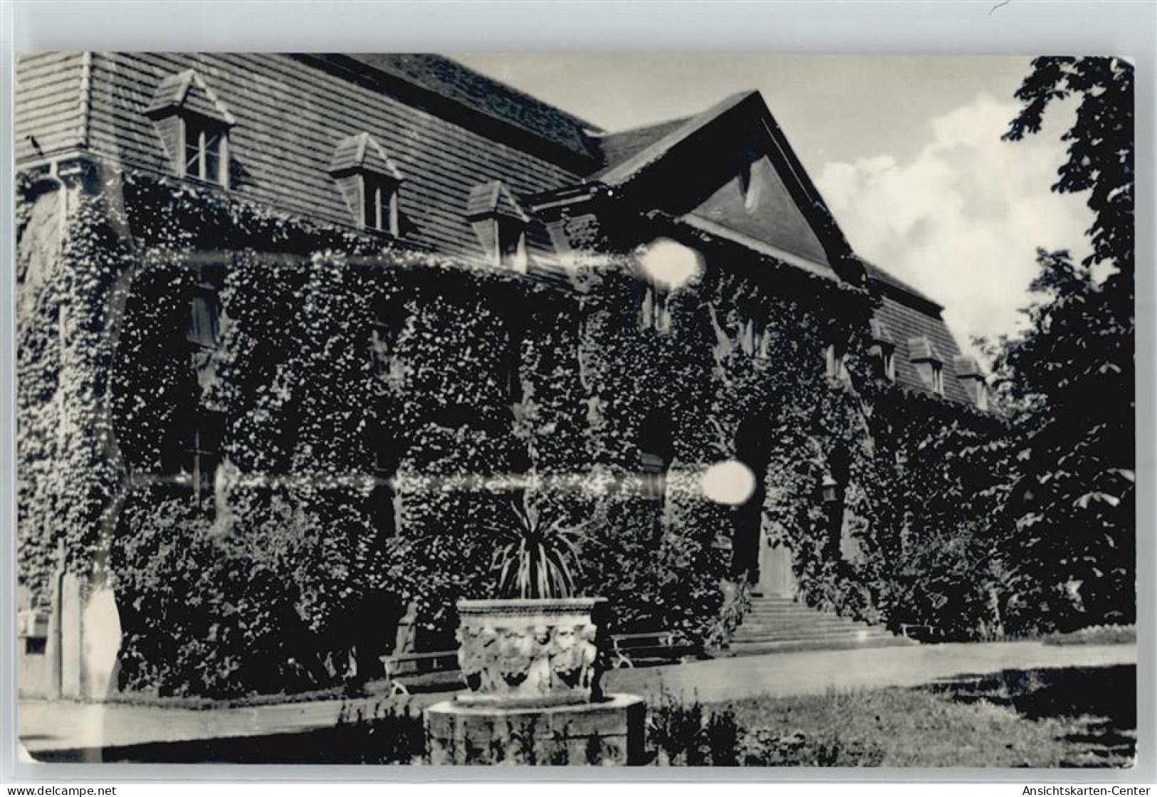 50988526 - Bad Muskau