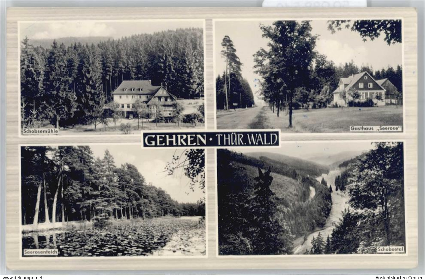 50988540 - Gehren , Thuer