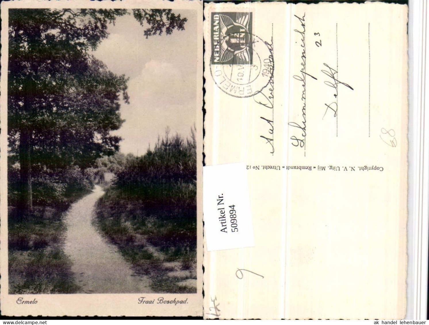 509894,Netherlands Ermelo Fraai Boschpad Wegpartie