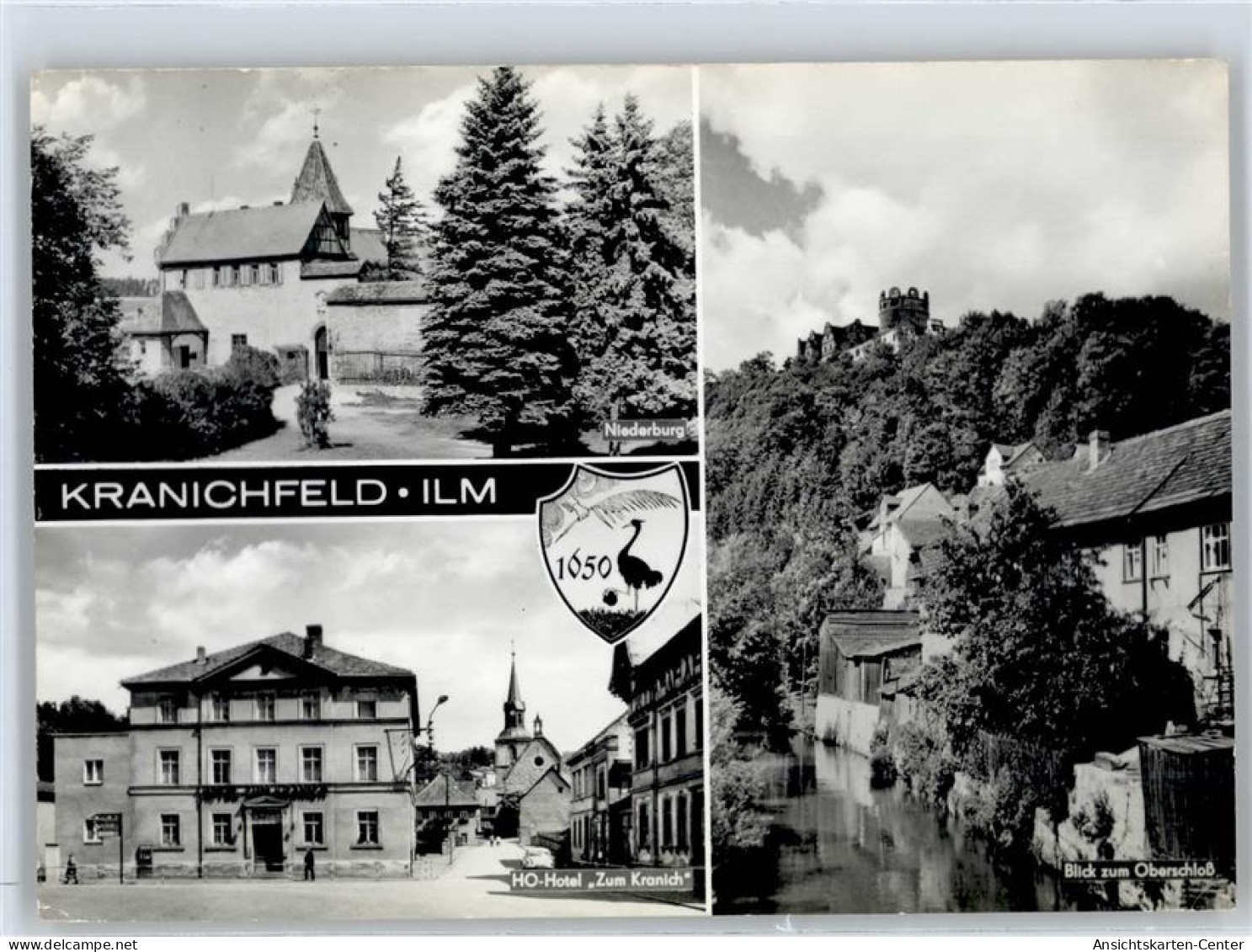 50989536 - Kranichfeld