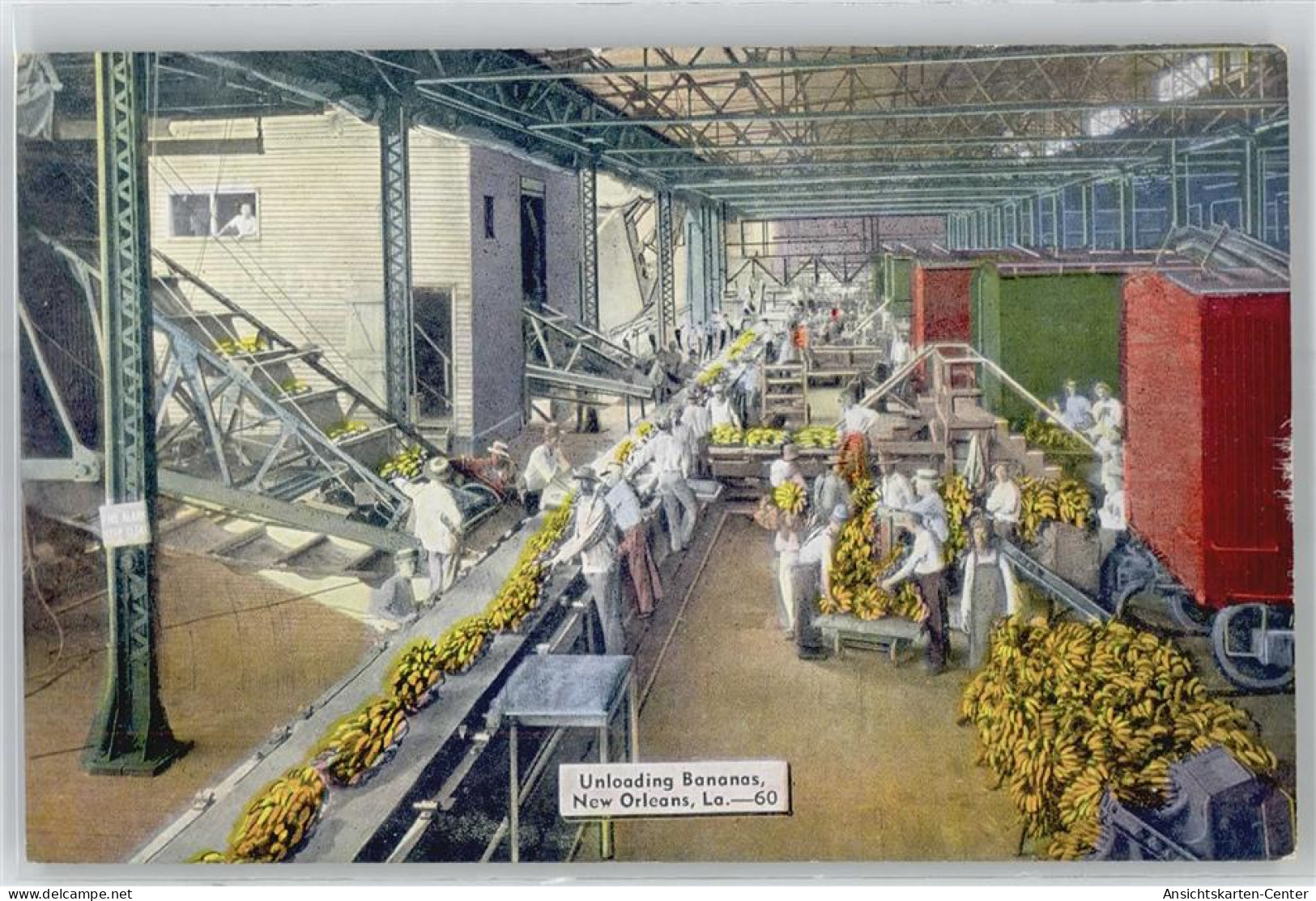 50991049 - New Orleans