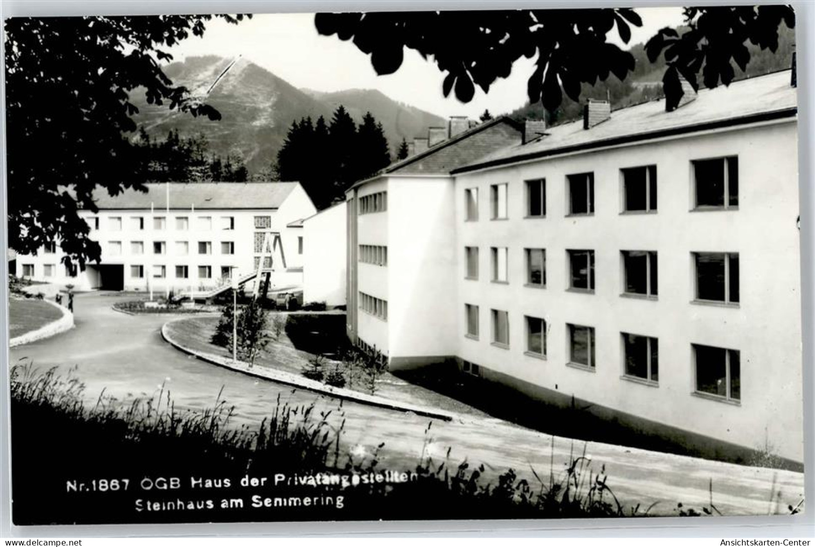 50991860 - Steinhaus am Semmering