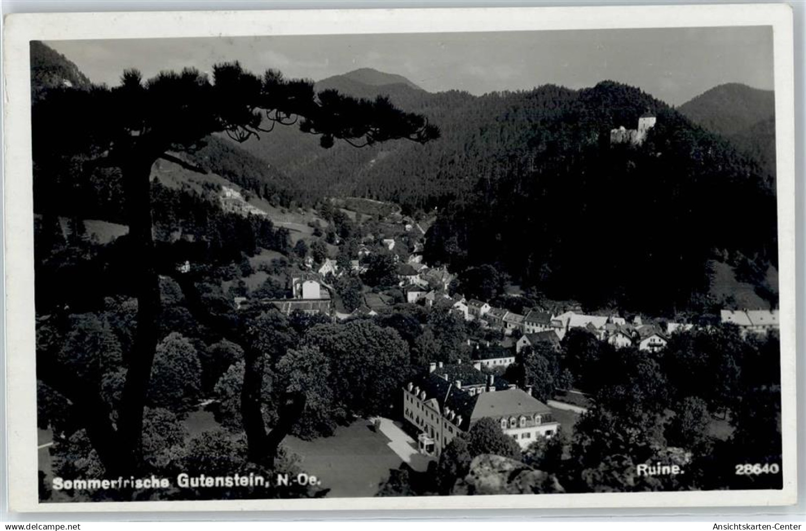 50992969 - Gutenstein