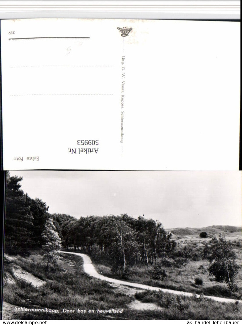 509953,Netherlands Schiermonnikoog Door bos en heuvelland Landschaft