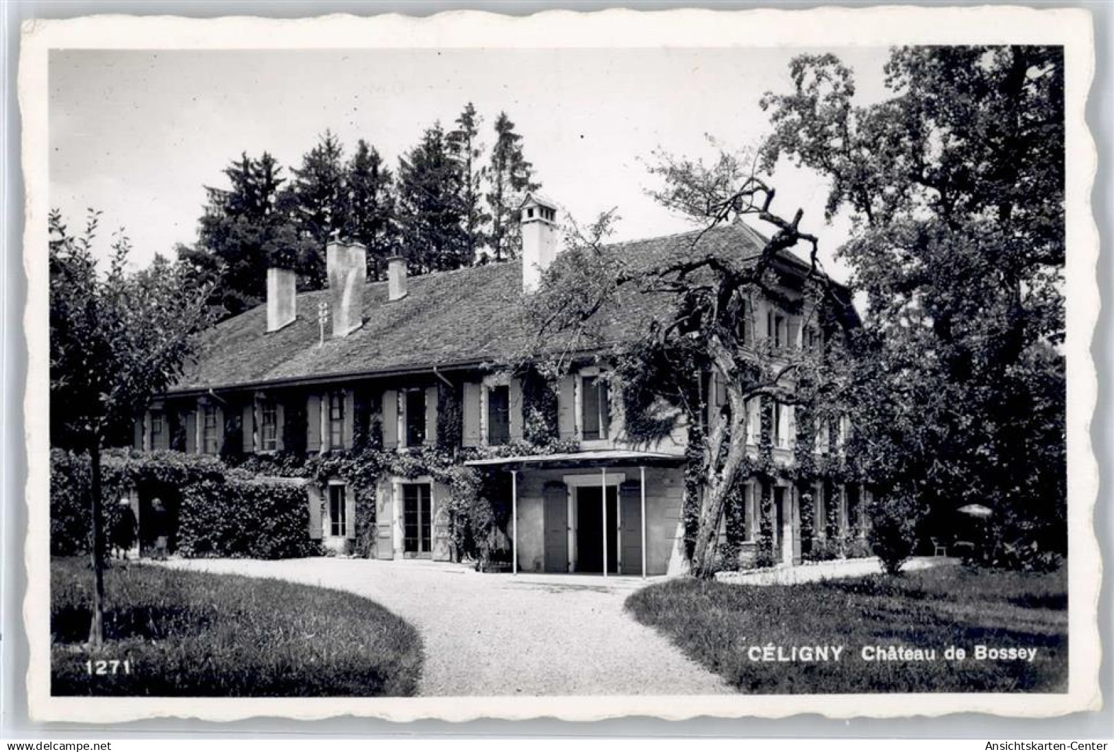 50996844 - Céligny Bossey