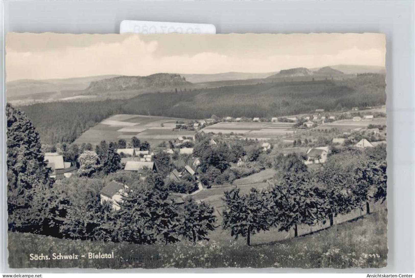 50997088 - Rosenthal-Bielatal