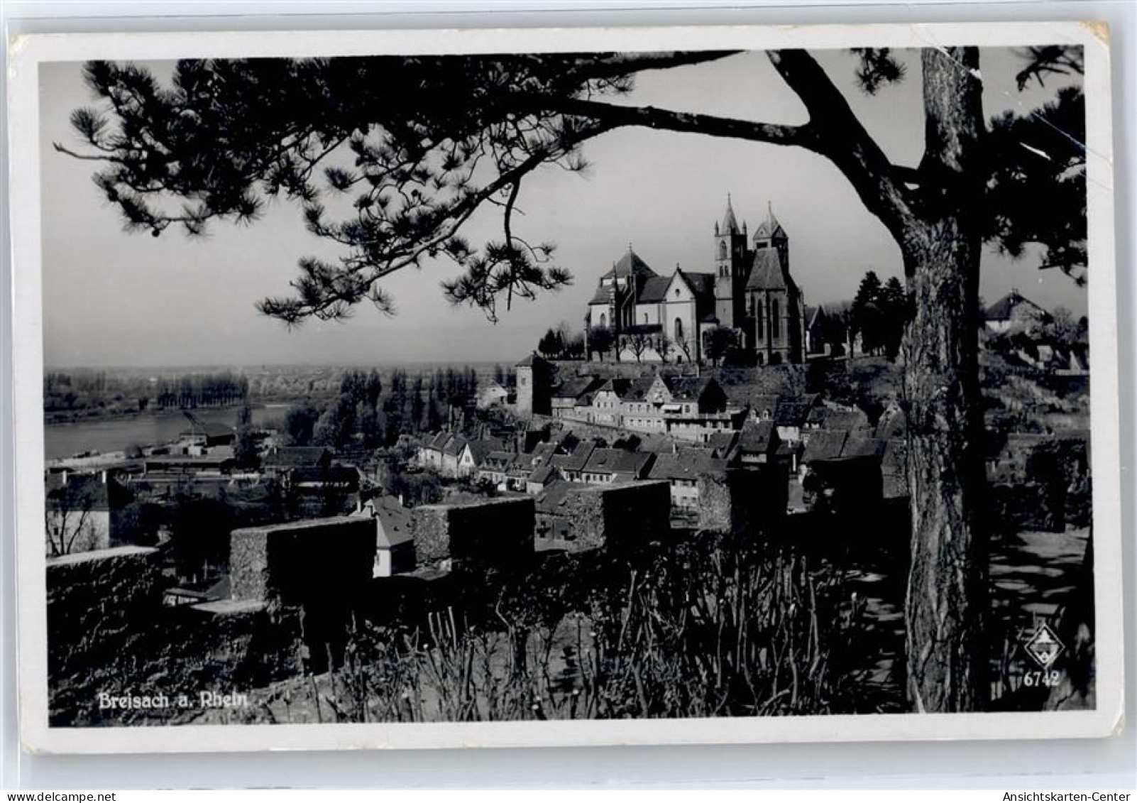 50997316 - Breisach am Rhein