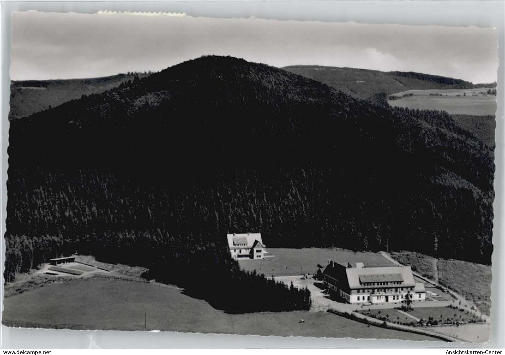 50998449 - Schmallenberg