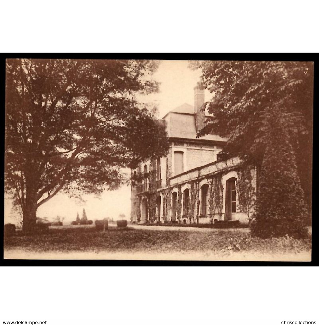 51 - SAPICOURT (Marne) - par Jonchery sur Vesle