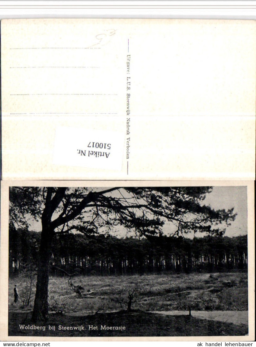 510017,Netherlands Woldberg bij Steenwijk Het Moerasje Landschaft