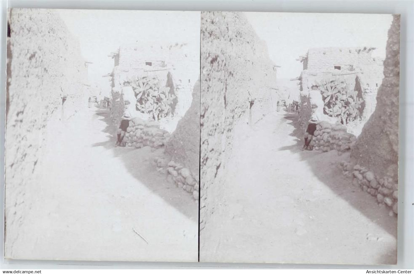 51003542 - Constantine