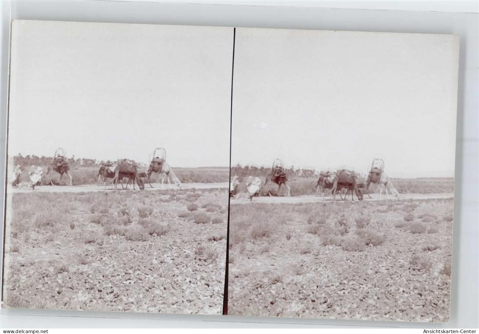 51003586 - Constantine