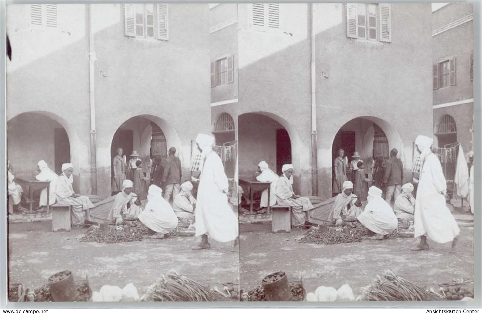 51003844 - Biskra