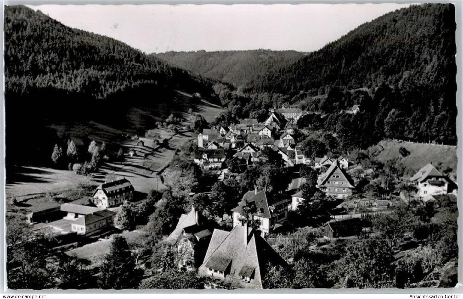 51007345 - Bad Teinach