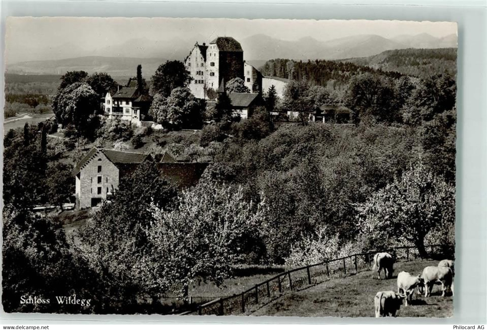 5103 Wildegg - Schloss - 10620042