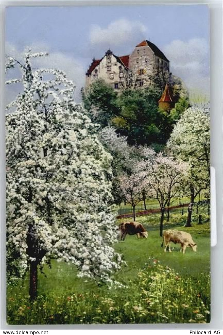 5103 Wildegg - Schloß - 50737217