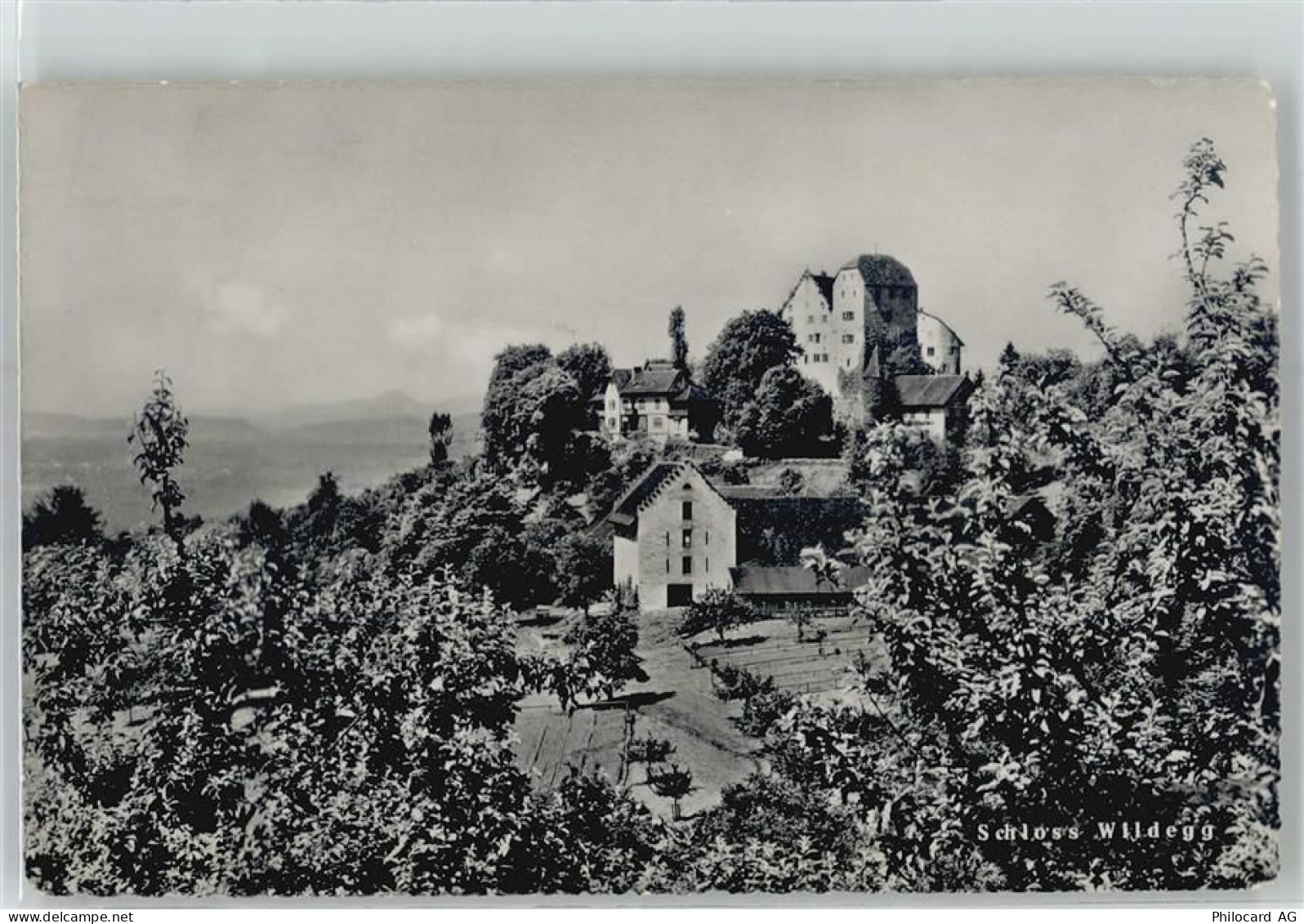 5103 Wildegg - Schloss - 51064479