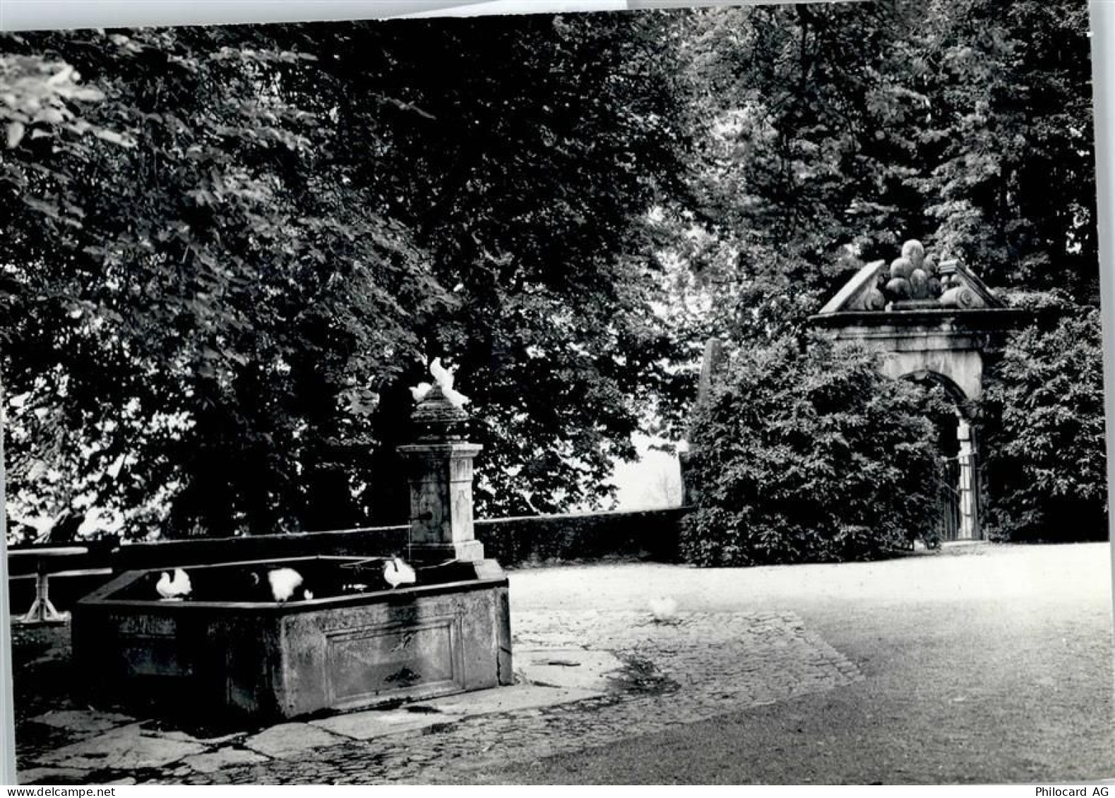 5103 Wildegg - Schloß - 51950518