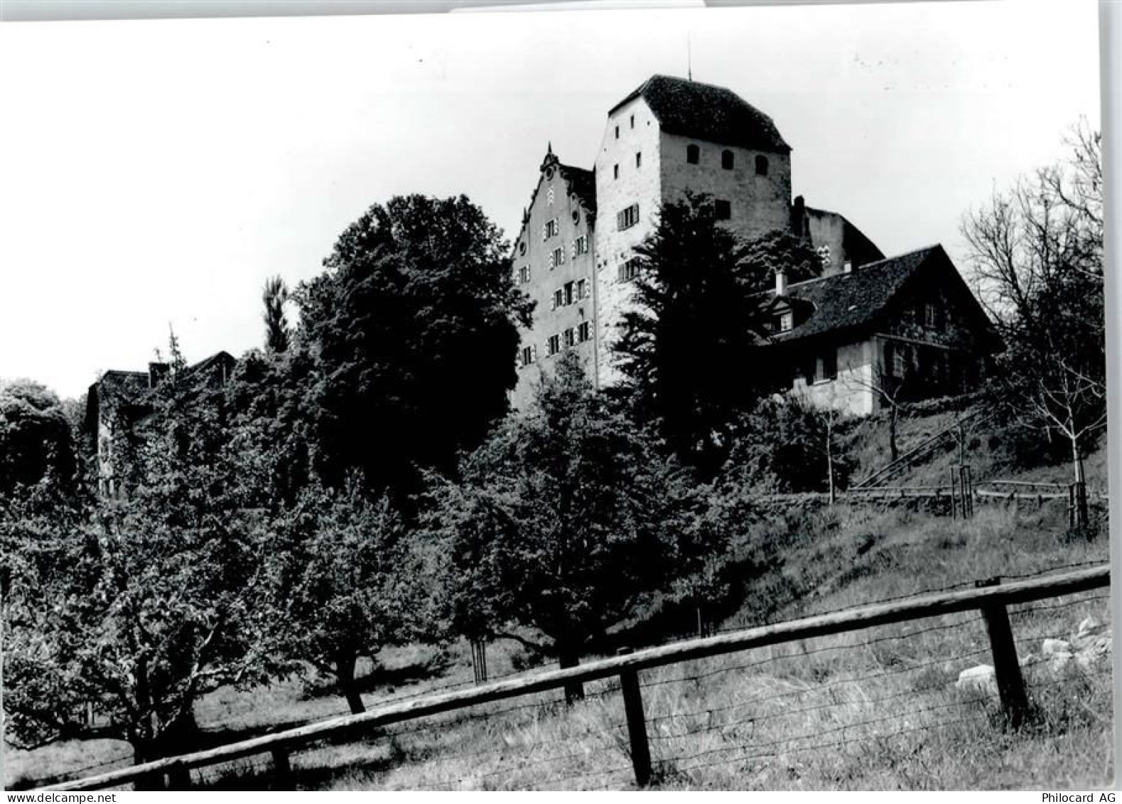 5103 Wildegg - Schloss, Bergfried - 50746033