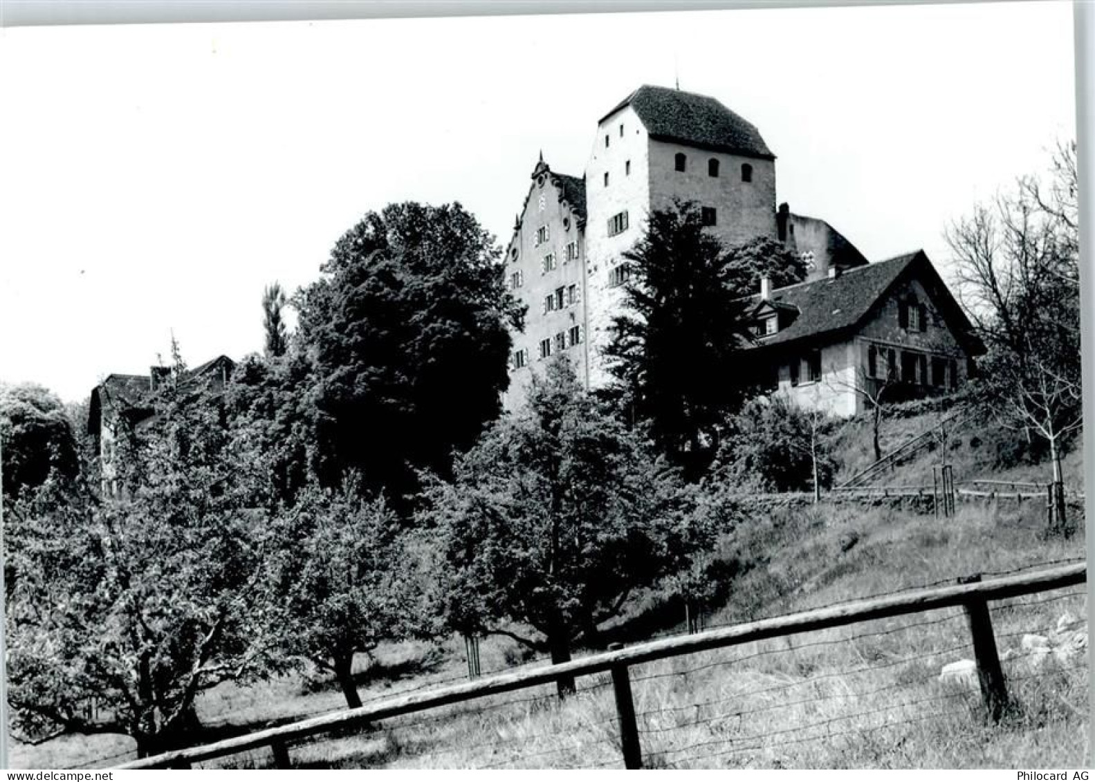 5103 Wildegg - Schloss, Bergfried - 50746035
