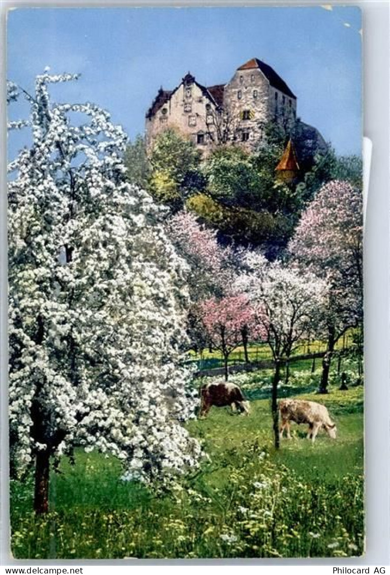 5103 Wildegg - Schloss Wildegg - 51338075