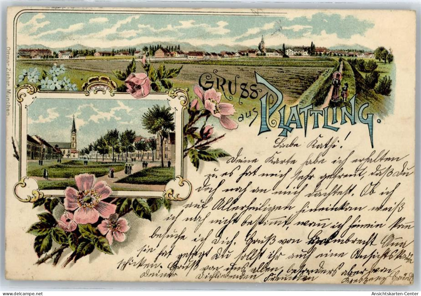 51044974 - Plattling