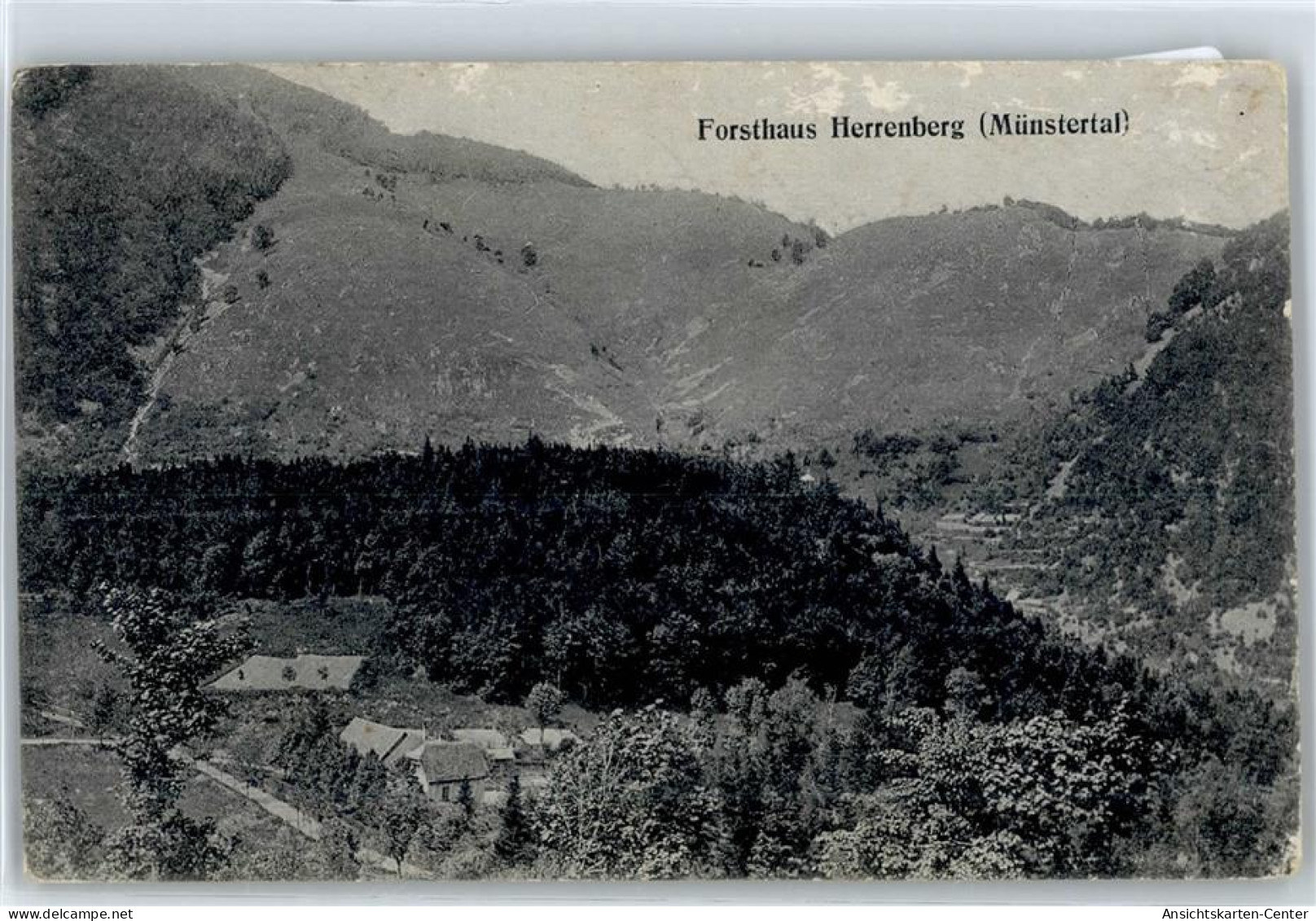 51045537 - Muenstertal