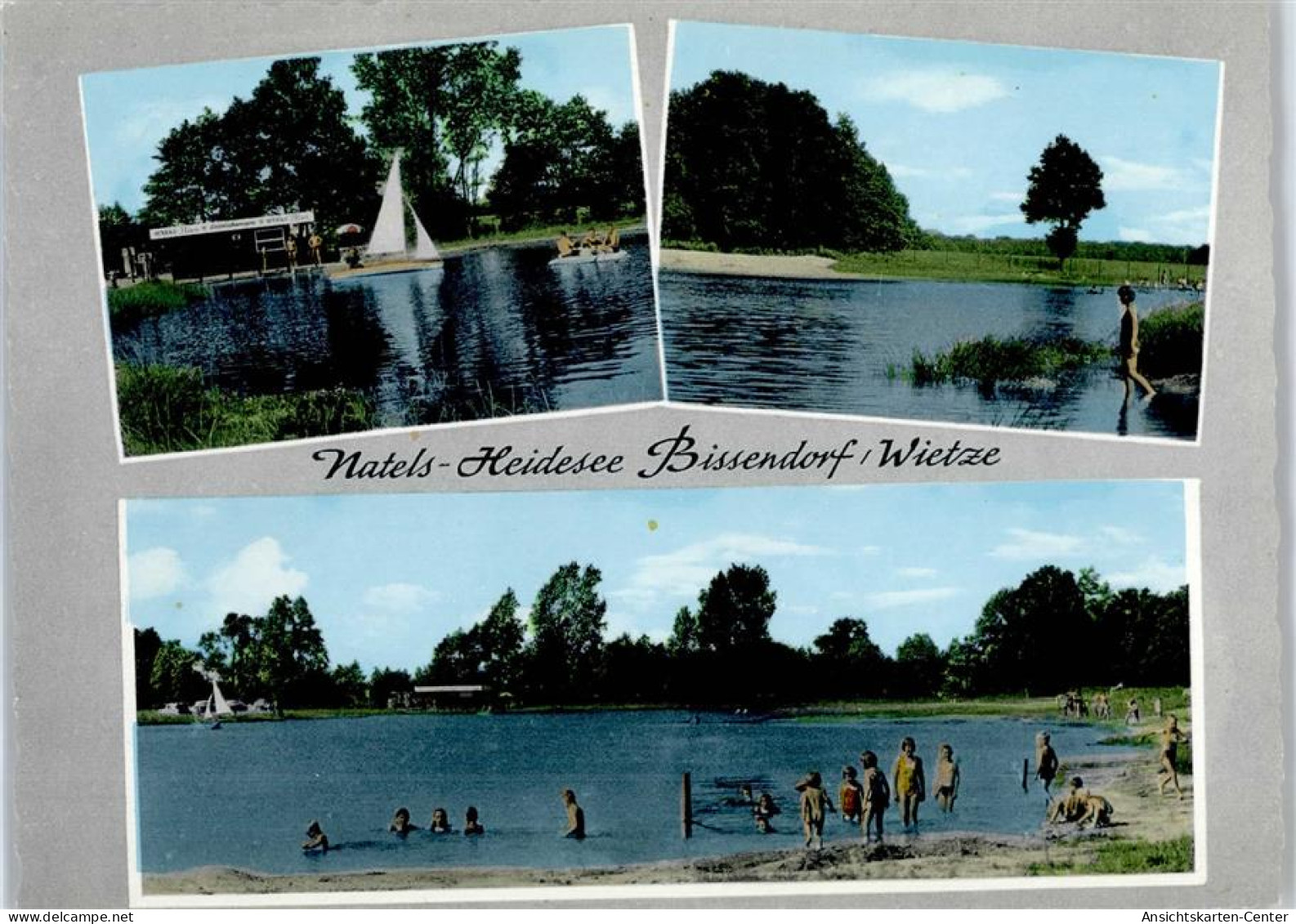 51049180 - Bissendorf , Han