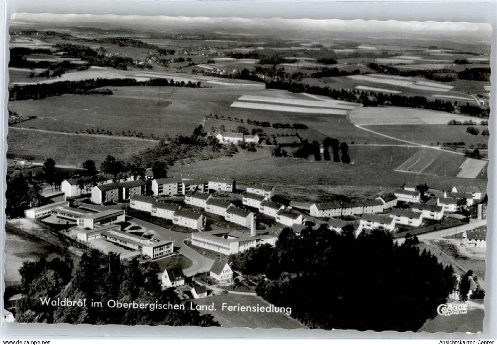 51049649 - Waldbroel