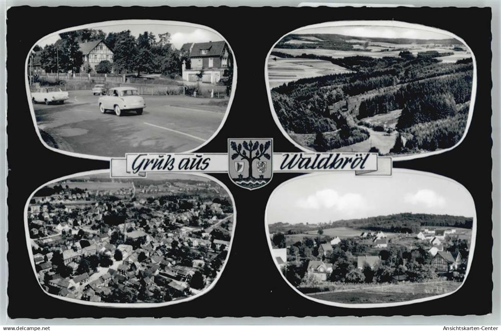 51050325 - Waldbroel