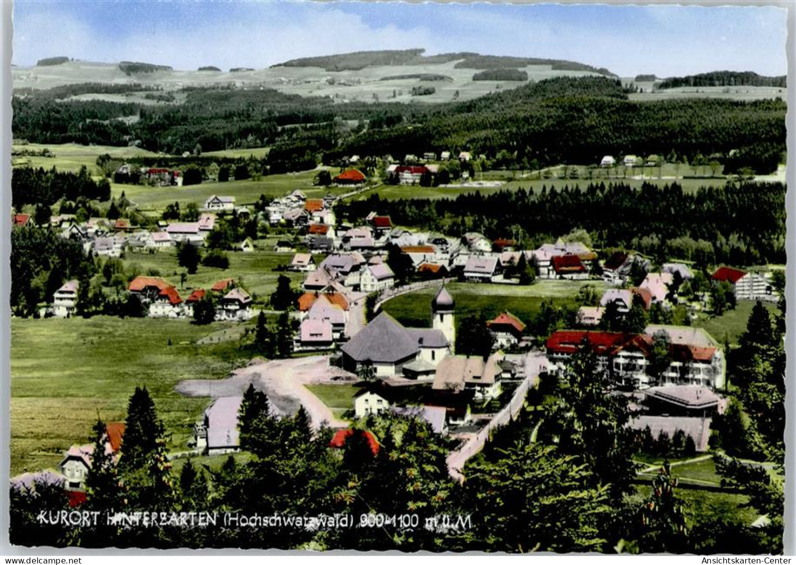 51053547 - Hinterzarten