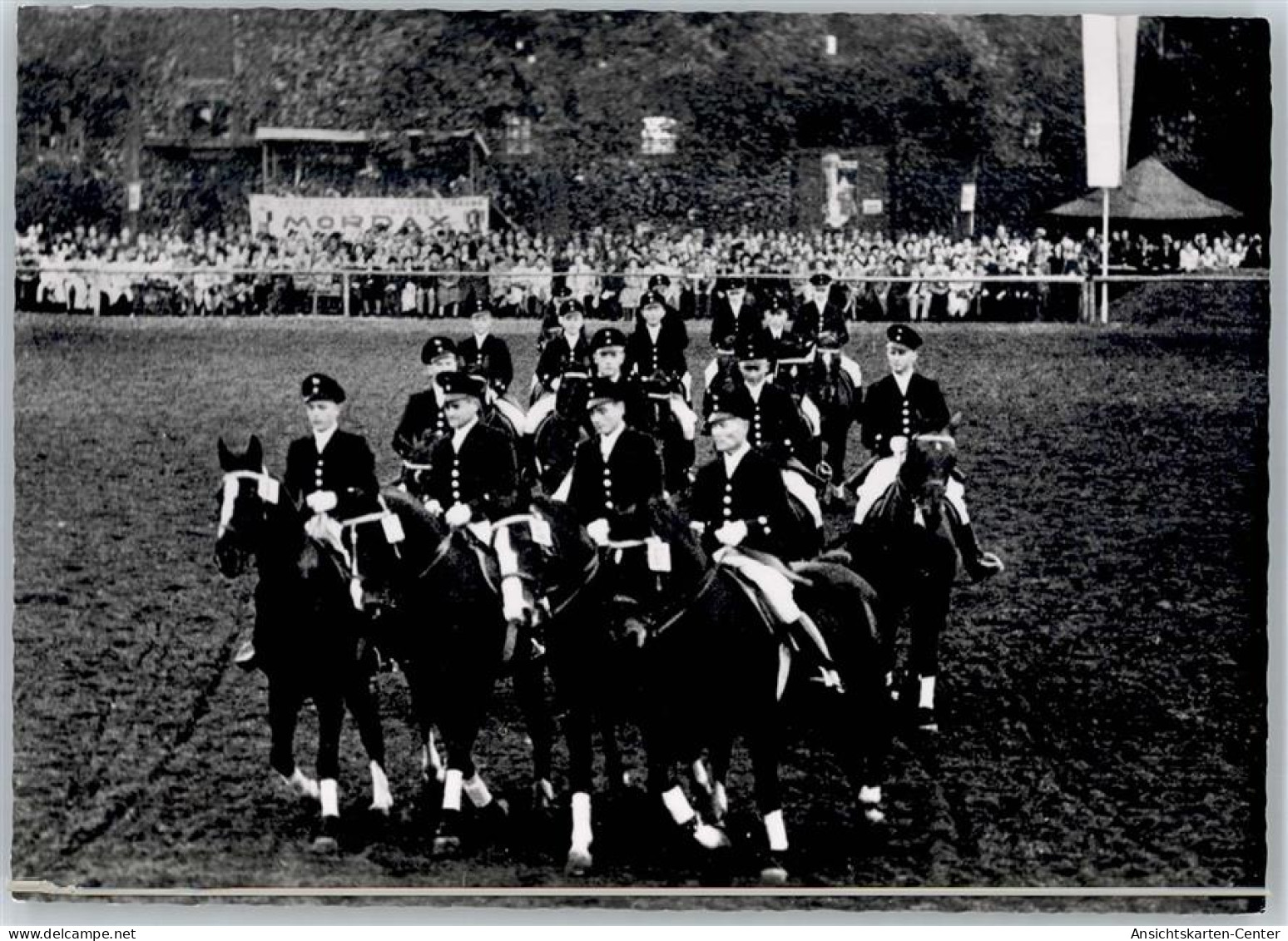 51055090 - Warendorf