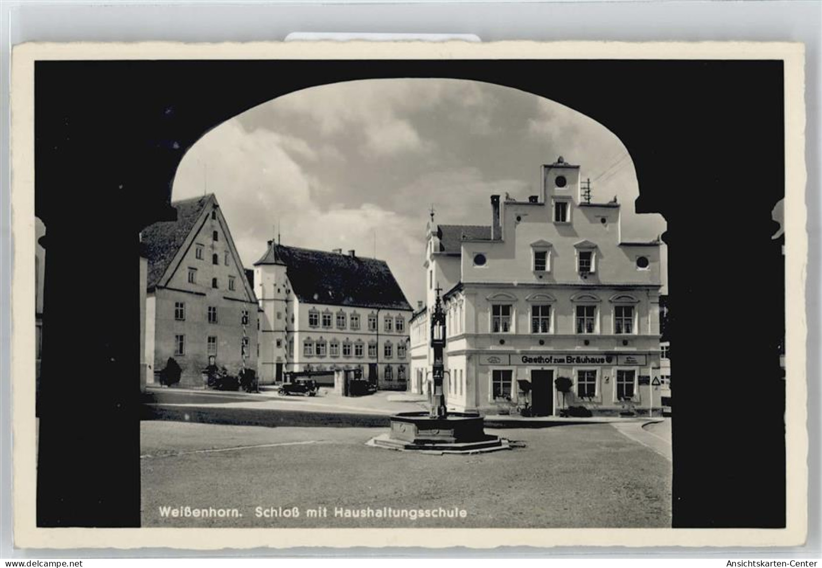 51056916 - Weissenhorn